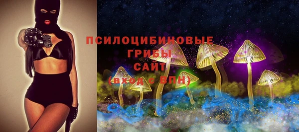 мяу мяу мука Кинешма