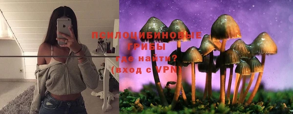 мяу мяу мука Кинешма